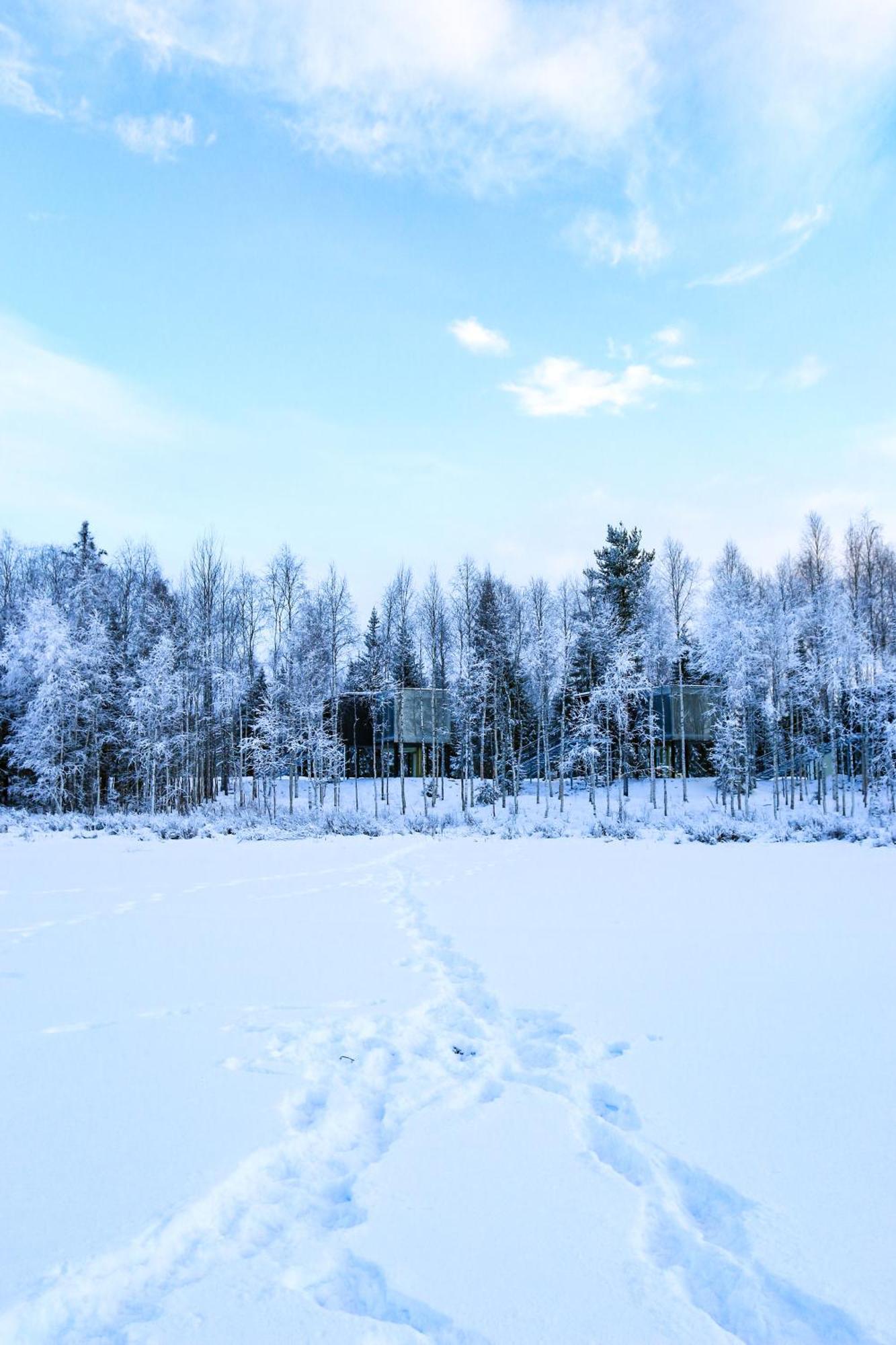 Silver Birch Resort Lapland Rovaniemi Bagian luar foto
