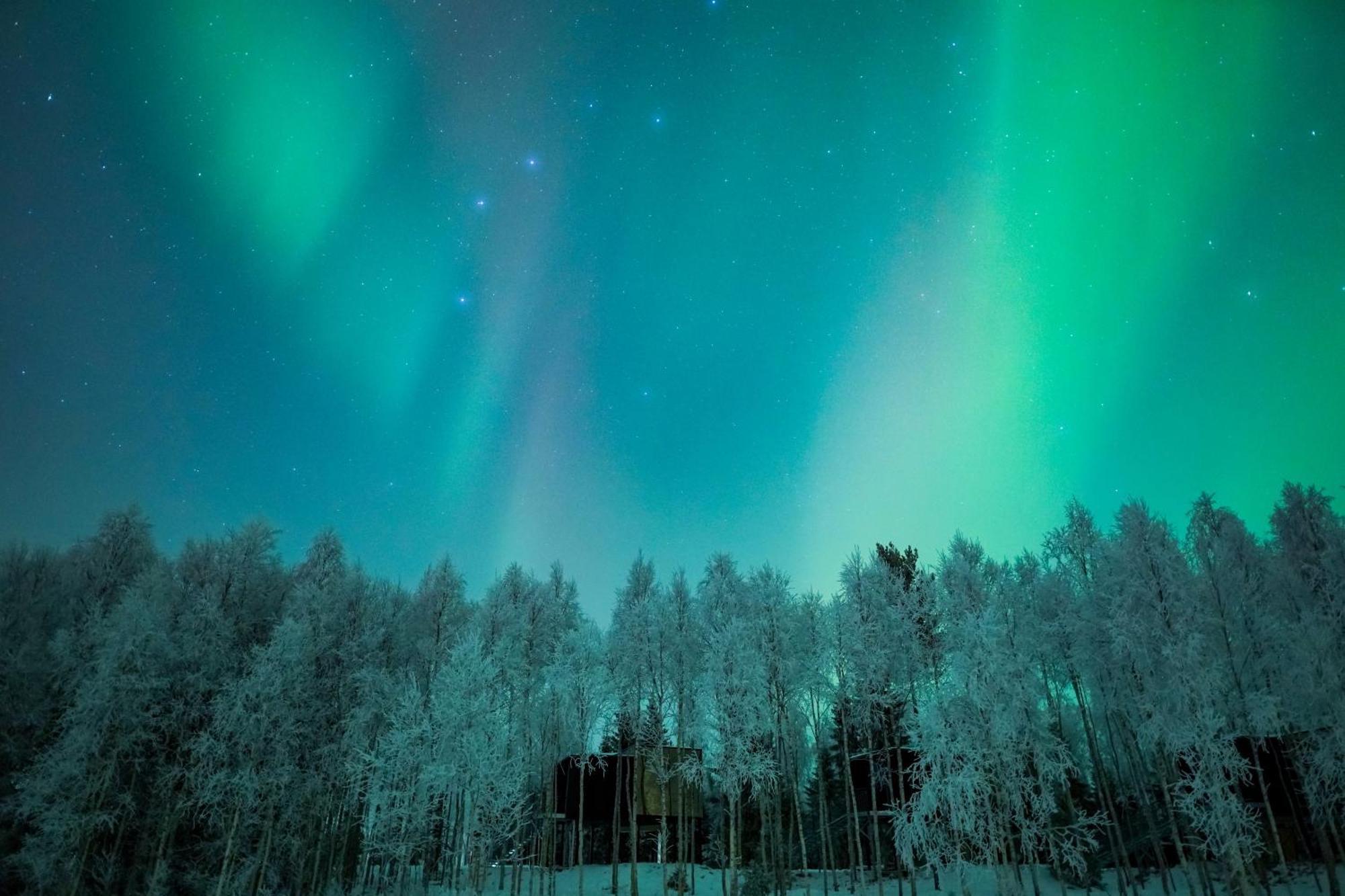 Silver Birch Resort Lapland Rovaniemi Bagian luar foto